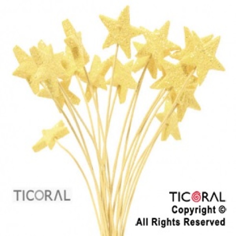 MICROFORMA ESTRELLA UNIDAD