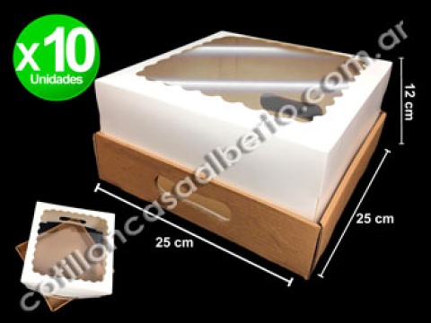 BANDEJA CON TAPA Y VISOR 25X25X12